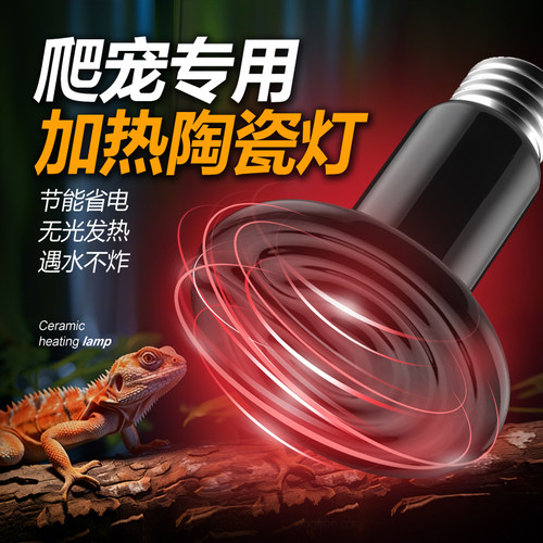 爬宠陶瓷宠物蛇爬虫箱蜥蜴保温灯