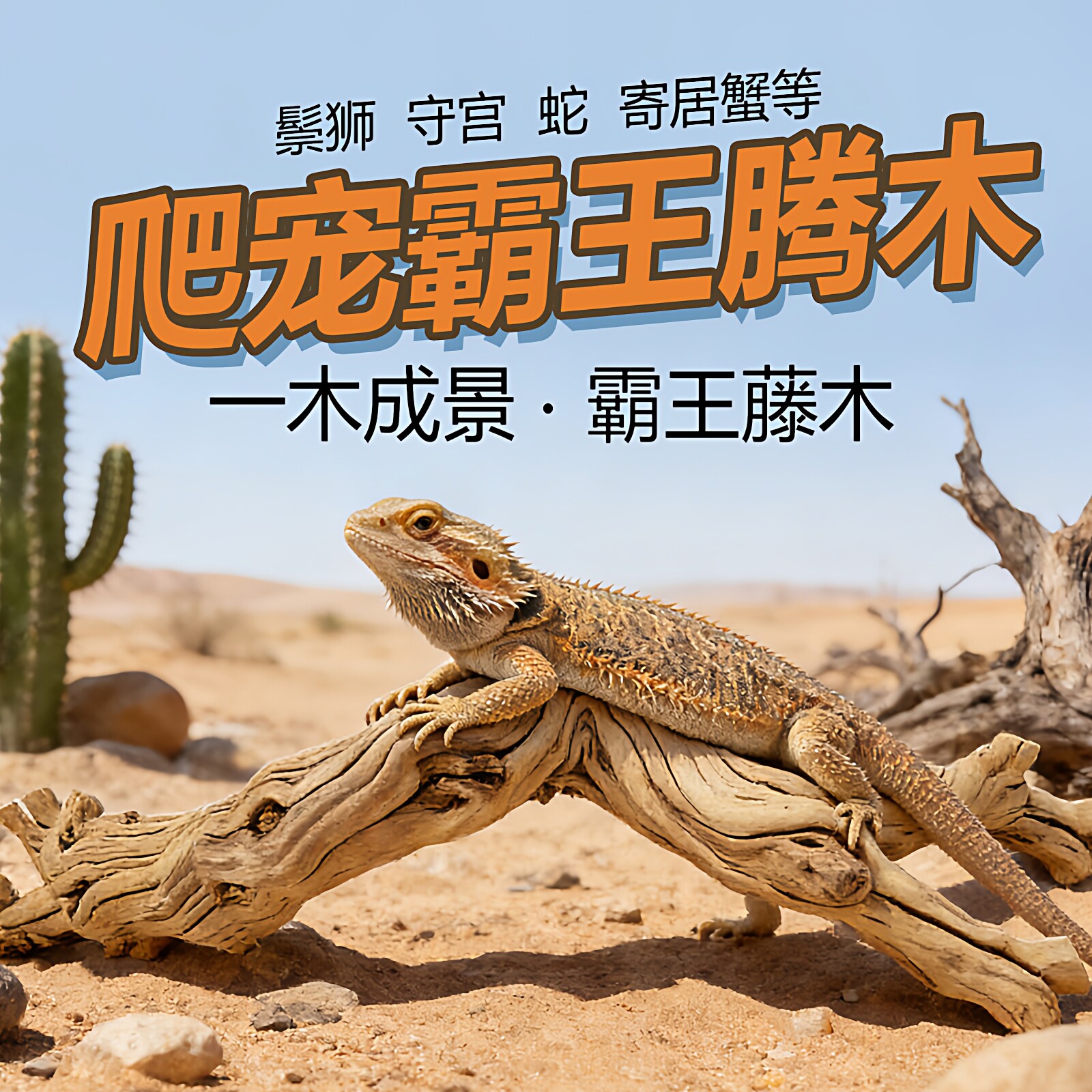 天然藤木爬宠攀爬鬃狮蜥蜴守宫蛇