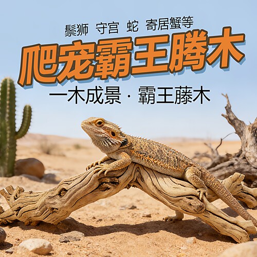 天然藤木爬宠攀爬鬃狮蜥蜴守宫蛇