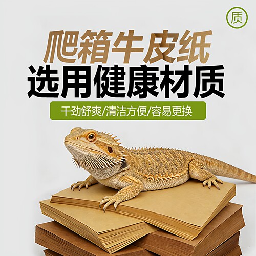 爬宠饲养箱专用牛皮纸垫守宫鬃狮