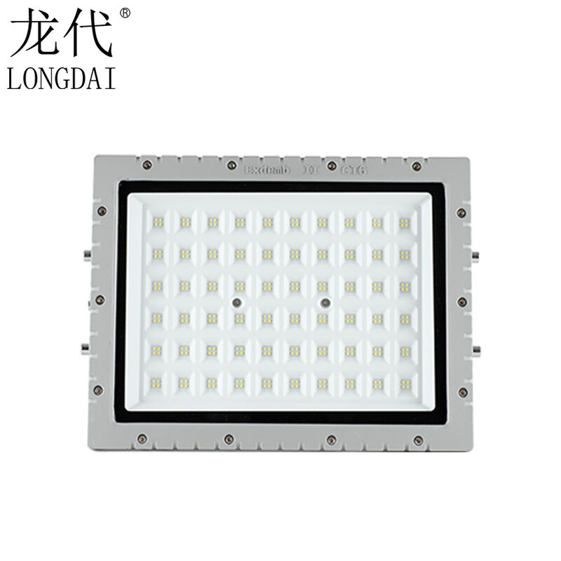 龙代（longdai）LED防爆灯厂房投光灯加油站工地照明灯LX50W免维