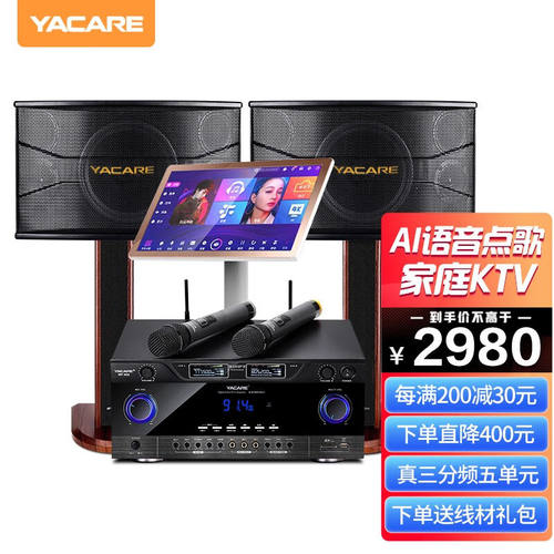 雅桥（YACARE）T1家庭ktv音响套装家庭影院点歌机K歌家用卡拉ok音