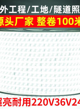 梵耀LED户外低压灯带24V36V防水灯带超亮工程隧道地下室220V工地