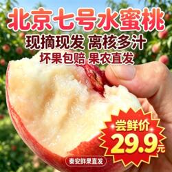 甘肃秦安北京七号水蜜桃秦安桃子7号新鲜水果脆软桃现摘现发5斤