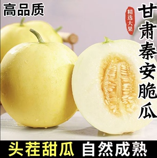 【头茬现摘】甘肃天水秦安白脆瓜新鲜水果孕妇小孩甜脆瓜当季5斤