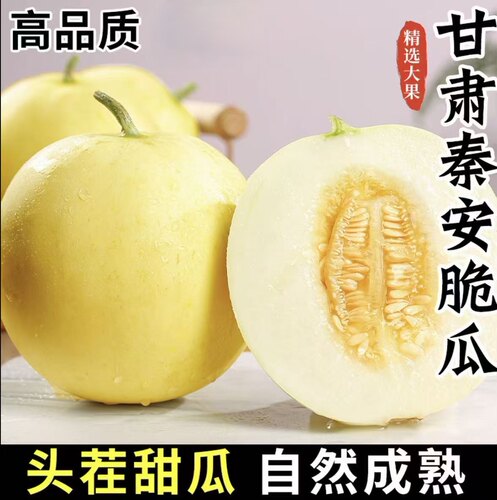 【头茬现摘】甘肃天水秦安白脆瓜新鲜水果孕妇小孩甜脆瓜当季5斤