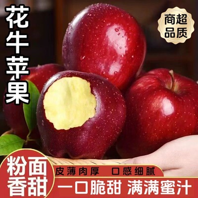 正宗甘肃天水花牛苹果新鲜水果孕妇小孩宝宝老人面粉脆沙甜现摘现