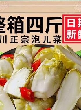 开胃泡菜儿菜酸娃娃菜温州特产多头菜浙江榨菜菜心咸菜腌制大头菜
