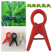 吊秧夹子大棚蔬菜吊蔓夹豆角番茄西红柿黄瓜绑蔓扶蔓夹落蔓洛秧夹