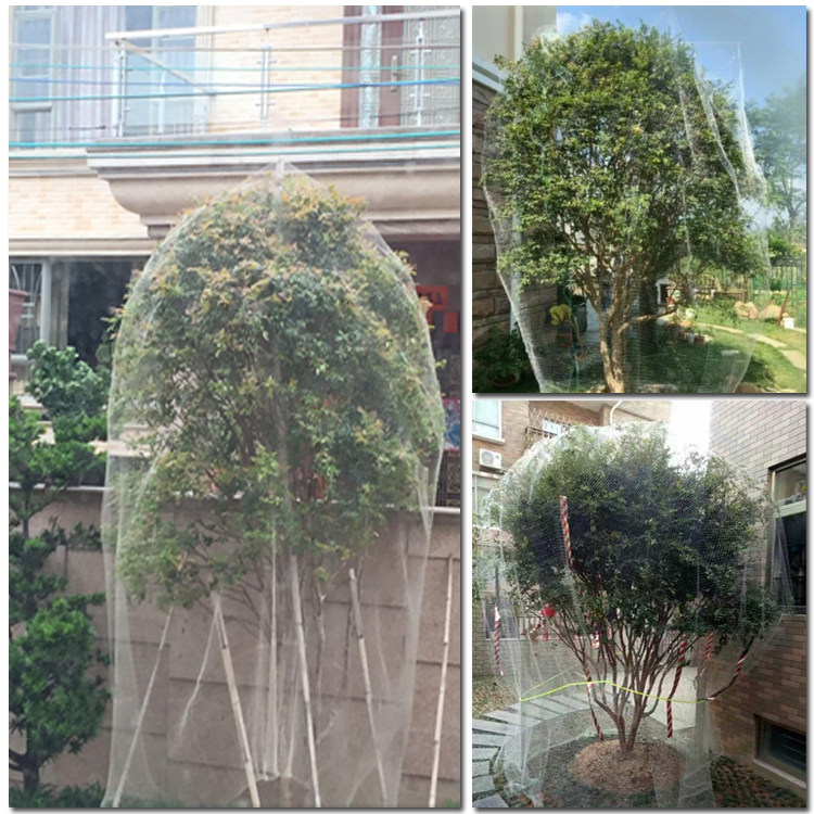 果树防虫网罩子防鸟网罩蔬菜防虫罩杨梅嘉宝网罩果园防虫用网农业