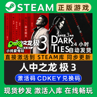 人中之龙 极3 人中之龙3 外传 如龙3 Steam游戏正版CDK激活码入库
