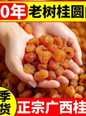 广西特产博白桂圆肉500g无核龙眼