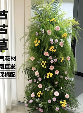 芦荀草新鲜仙气花材配草鲜花家居插花茶室摆放婚庆布置云南直发