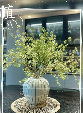 小米果鲜切花云南直发插花家用水养装饰花水培绿植婚庆活动搭配花