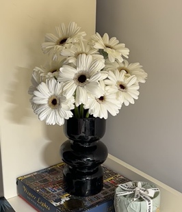 多品种非洲菊史努比华沙香格里拉鲜花速递云南基地直发花期长花材