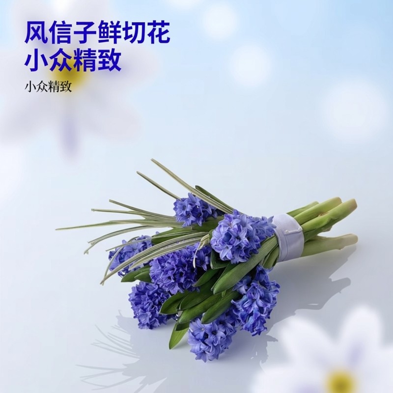 新鲜风信子鲜切花小众稀有花材婚礼手捧花精致新娘花束云南直发