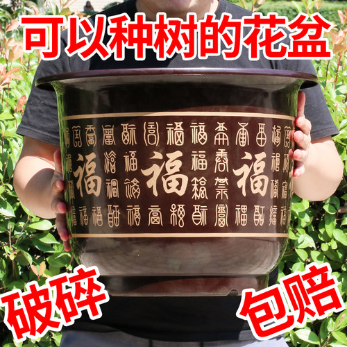 中国风塑料下单送赠品