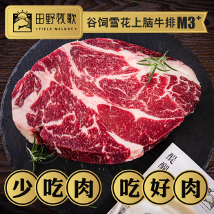 黑安格斯谷饲300天原切雪花上脑牛排M3 熟成21天净重1公斤 级干式