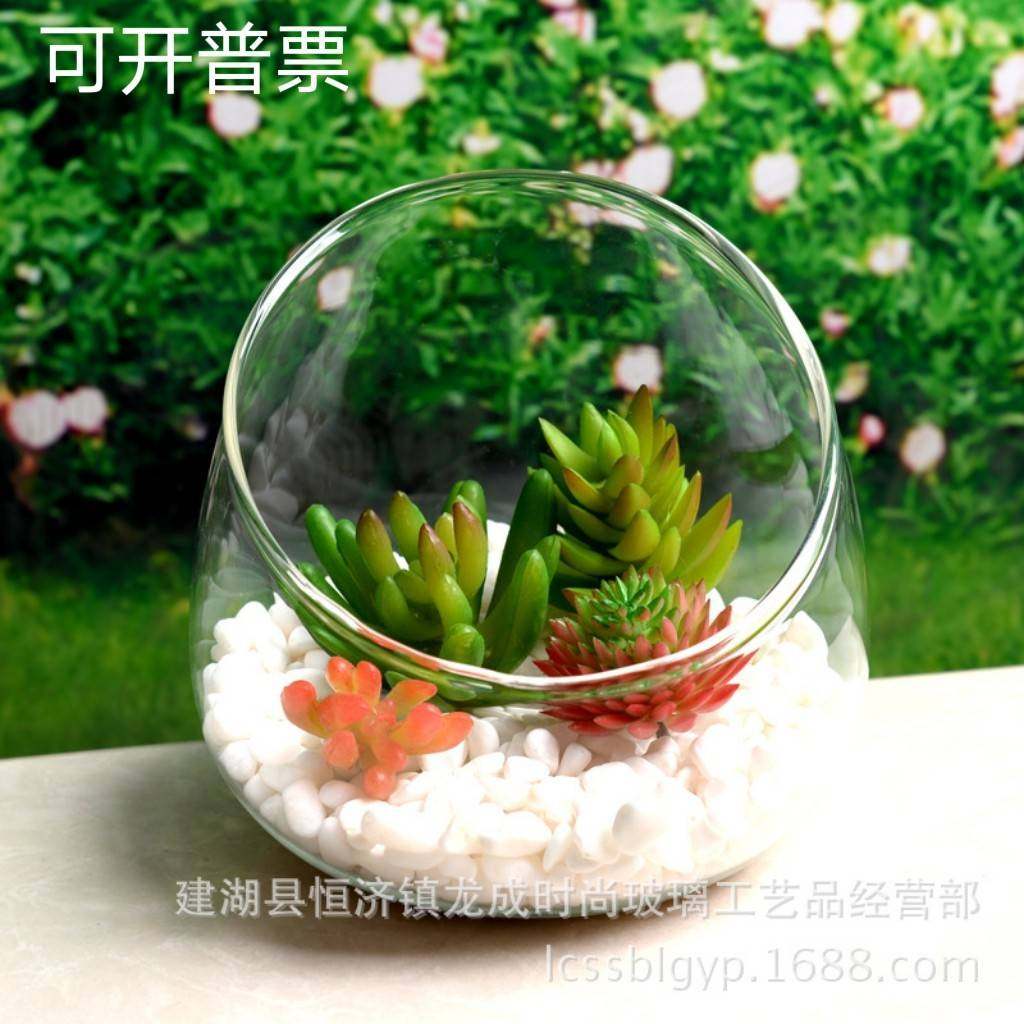 斜口杯多肉植物水培玻璃花瓶礼品