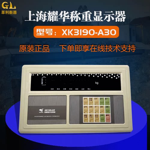 上海耀华xk3190-a30地磅称重仪表