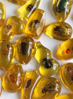 真昆虫琥珀标本儿童盲袋盲盒虫珀配件学生益智教学挂件小吊坠礼物