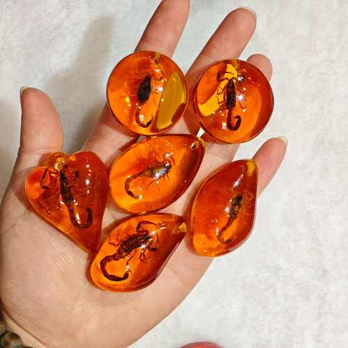 儿童节真昆虫夜光琥珀标本盲盒儿童考古吊坠配件蝎子昆虫标本盲袋