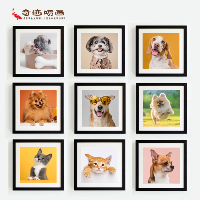 猫狗照片裱框画 宠物店装饰画 宠物医院墙壁软装组合壁画 狗狗照图片