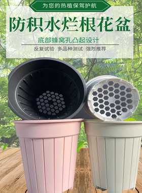 超透气易养花盆适合小白