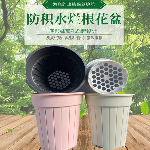 超透气易养花盆适合小白