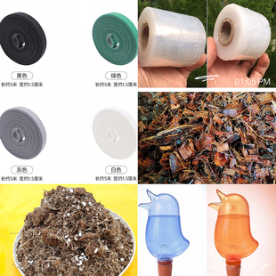 水苔柱 周边园艺产品专用链接绑带小鸟缠绕膜挂钩泥炭粗椰壳