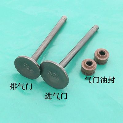 适用100巧格/福喜/福禧/丽鹰/凌鹰/JOG/LYM100T-3-4/ZY100T气门