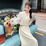 【档口有货】春装假两件连衣裙女2D122-1214-P120控178，女装连衣裙，2D122
