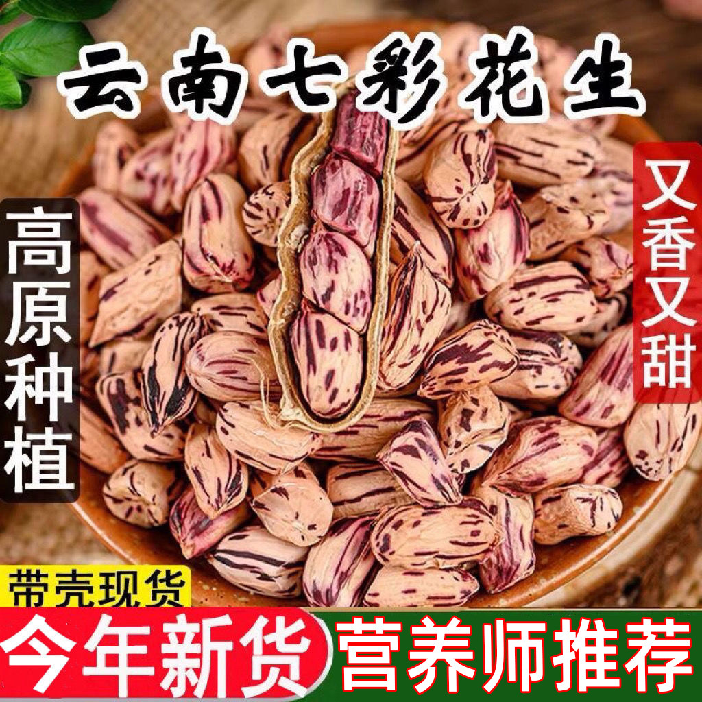 新货云南七彩花生带壳自然晒干