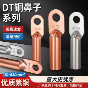 dt铜鼻子铜接头240平方铜线鼻子
