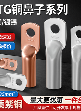 DTG铜鼻子接线端子铜管鼻10/16/25/35/50/70/120-400平方紫铜线耳