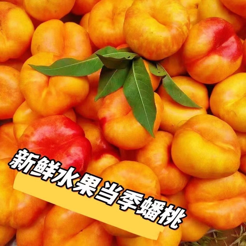 黄金油蟠桃新鲜水果当季整箱时令孕妇正宗深州无毛扁桃彩虹油蟠桃