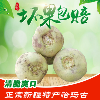 新鲜恰玛古上市新疆柯坪县恰玛古芜菁蔓菁食品蔬菜包邮强碱性蔬菜
