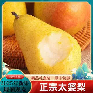 太婆梨新鲜水果烟台特产大头葫芦黄金香蕉梨现摘现发5斤包邮大果