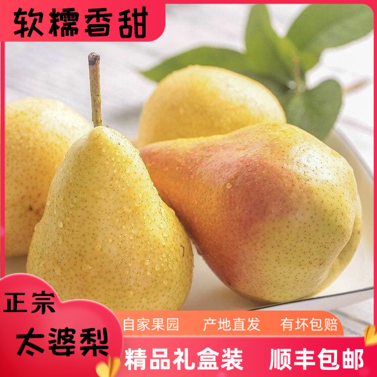 太婆梨新鲜水果烟台特产