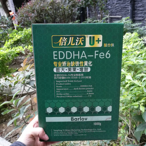 果树肥料有机螯合铁EDDHA-Fe6 果树缺铁性黄化专用叶面喷施冲施肥
