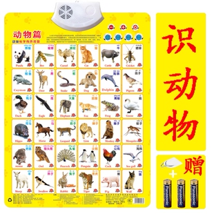 有声挂图宝宝启蒙早教拼音字母表中英文点读挂本儿童识字认知发音