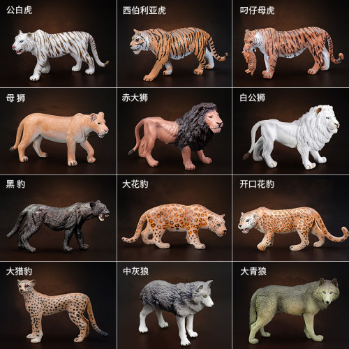 野生黑豹价格 野生黑豹图片 星期三