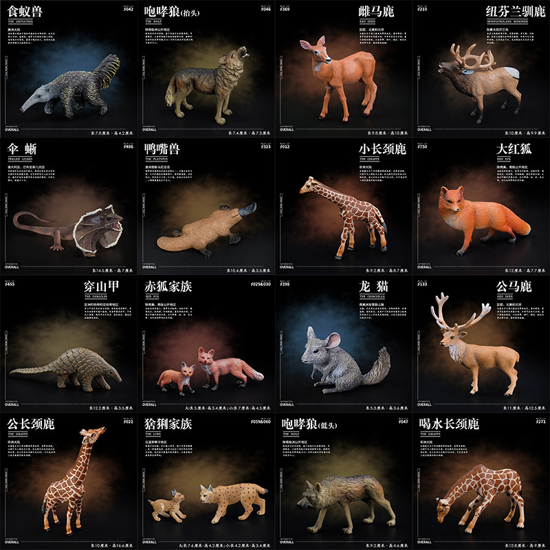 狼模型素材模板 狼模型图片下载 小麦优选