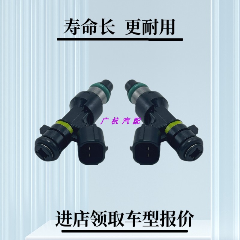 适用于大众帕萨特B5 领域1.8T速腾 途安 奥迪A6 A4改装18孔喷油嘴