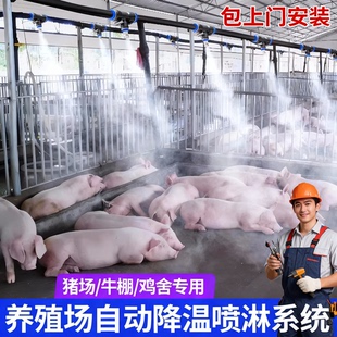 包安装养殖场喷雾系统猪场鸡舍降温设备雾化消毒喷头同城上门服务