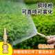 直喷高压铜质可调节水枪喷雾喷淋家用水管浇花浇水洗车清洁喷头