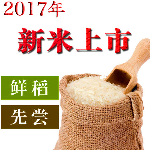 北国江南信阳高山生态种植天然农家大米不抛光 新米5斤大部包邮