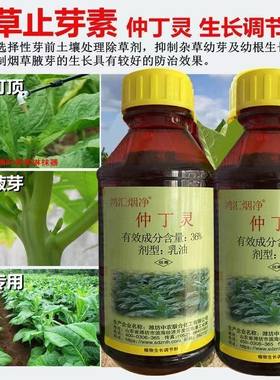 批发烟草止芽素36%仲丁灵大豆西瓜花生棉花封闭菟丝子农药正品药