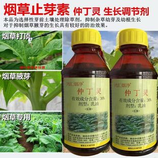 批发烟草止芽素36%仲丁灵大豆西瓜花生棉花封闭菟丝子农药正品药