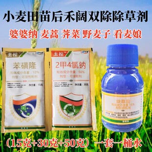小麦专用除草剂炔草酯 苯磺隆小麦全能杂草野麦婆婆纳烂根麦地冬